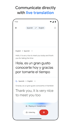 Google Translate screenshot 3