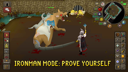 Old School RuneScape screenshot 5