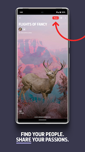 Flipboard:Your Social Magazine screenshot 5